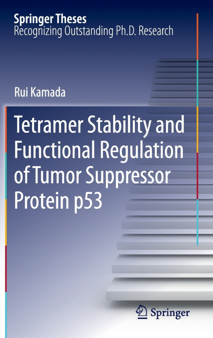 Tetramer Stability and Functional Regulation of Tumor Suppressor Protein p53