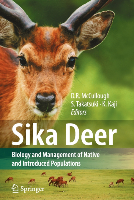 Sika Deer