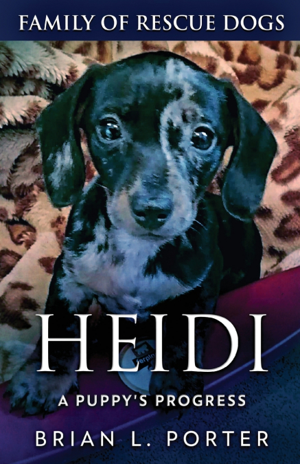 Heidi - A Puppy’s Progress