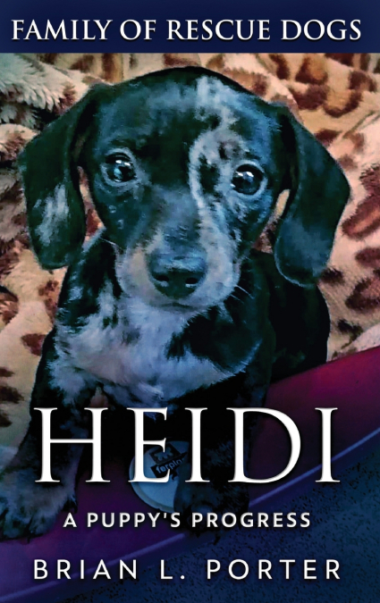 Heidi - A Puppy’s Progress