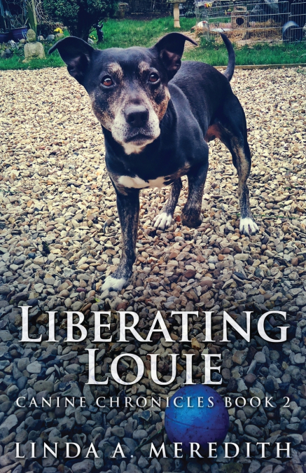Liberating Louie