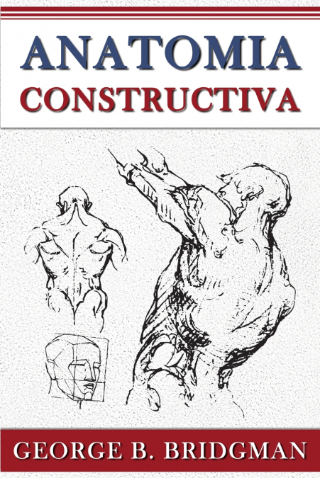Anatomia Constructiva
