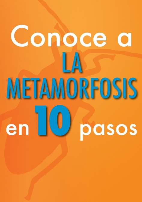 Conoce a la metamorfosis en 10 pasos