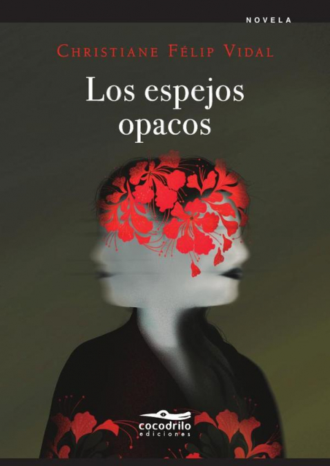 Los espejos opacos