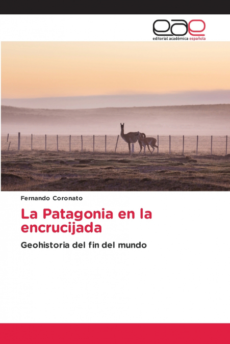 La Patagonia en la encrucijada