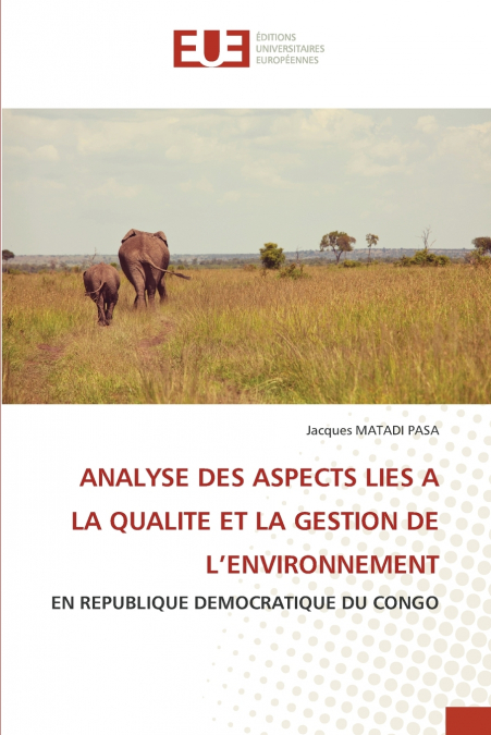 ANALYSE DES ASPECTS LIES A LA QUALITE ET LA GESTION DE L’ENVIRONNEMENT