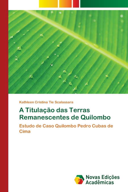 A Titulação das Terras Remanescentes de Quilombo