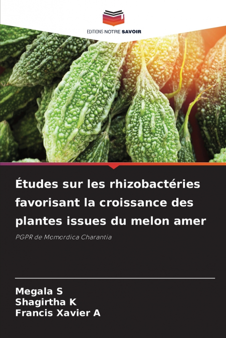 Études sur les rhizobactéries favorisant la croissance des plantes issues du melon amer