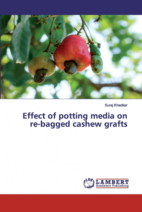 Effect of potting media on re-bagged cashew grafts