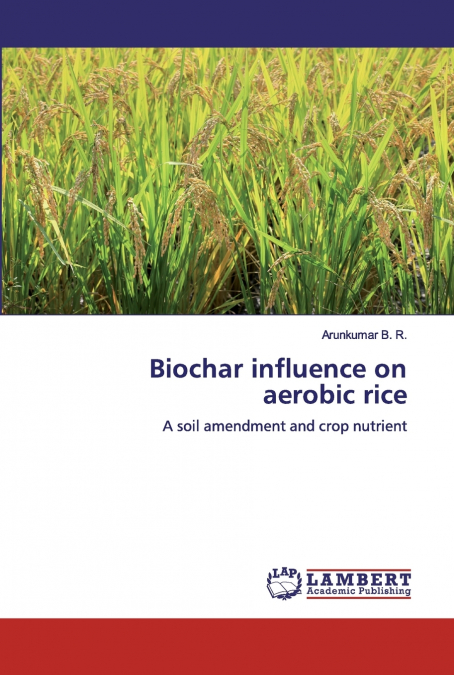 Biochar influence on aerobic rice