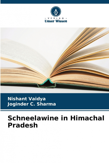 Schneelawine in Himachal Pradesh