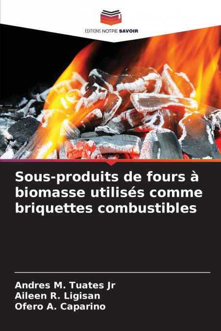 Sous-produits de fours à biomasse utilisés comme briquettes combustibles
