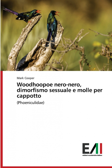 Woodhoopoe nero-nero, dimorfismo sessuale e molle per cappotto