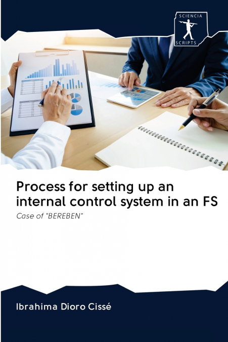 Process for setting up an internal control system in an FS