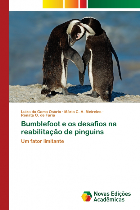 Bumblefoot e os desafios na reabilitação de pinguins