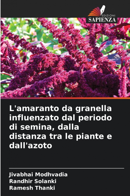 L’amaranto da granella influenzato dal periodo di semina, dalla distanza tra le piante e dall’azoto
