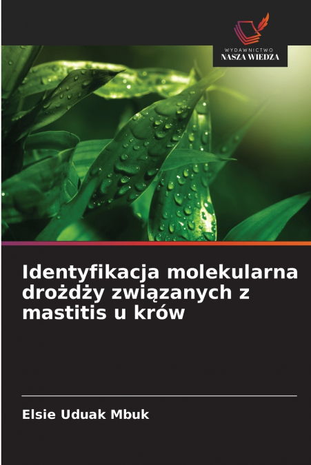 Identyfikacja molekularna drożdży związanych z mastitis u krów