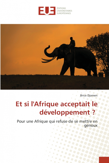 Et si l’Afrique acceptait le développement ?
