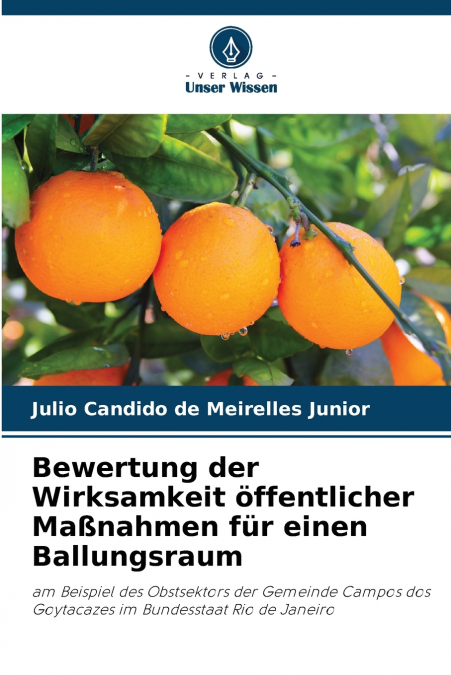 Bewertung der Wirksamkeit öffentlicher Maßnahmen für einen Ballungsraum