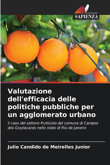 Valutazione dell’efficacia delle politiche pubbliche per un agglomerato urbano