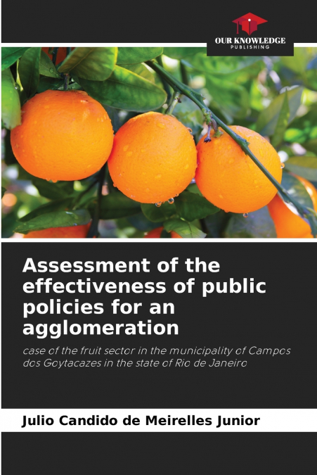 Assessment of the effectiveness of public policies for an agglomeration