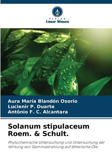 Solanum stipulaceum Roem. & Schult.