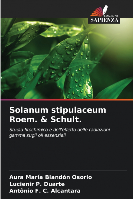 Solanum stipulaceum Roem. & Schult.