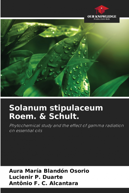 Solanum stipulaceum Roem. & Schult.