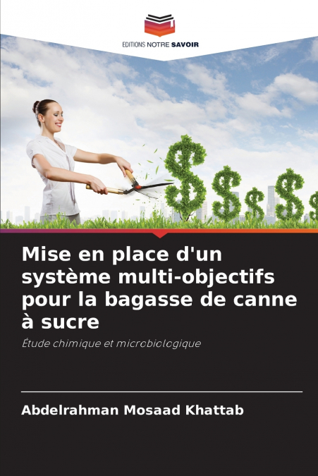 Mise en place d’un système multi-objectifs pour la bagasse de canne à sucre