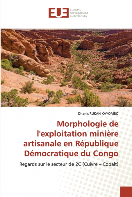 Morphologie de l’exploitation minière artisanale en République Démocratique du Congo