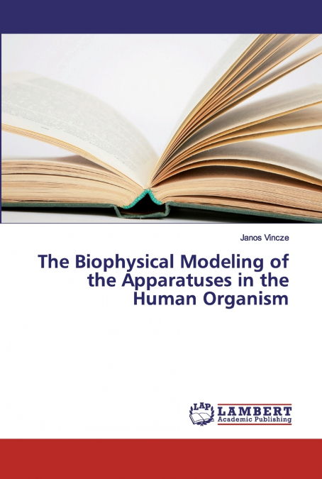 The Biophysical Modeling of the Apparatuses in the Human Organism