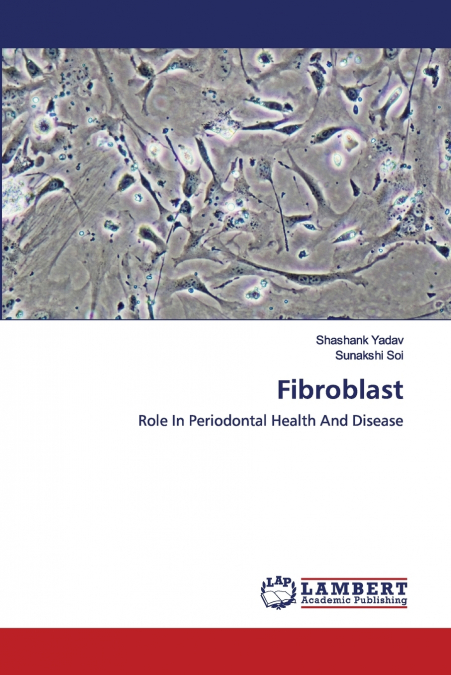 Fibroblast
