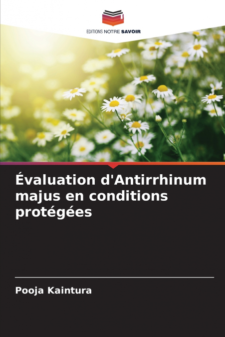 Évaluation d’Antirrhinum majus en conditions protégées