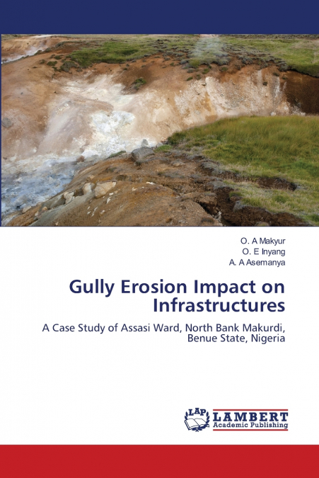 Gully Erosion Impact on Infrastructures