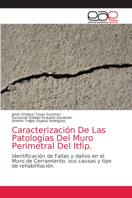 Caracterización De Las Patologías Del Muro Perimetral Del Itfip.