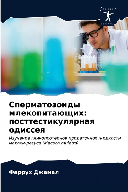 Сперматозоиды млекопитающих