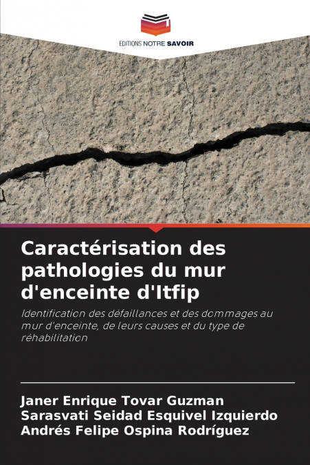 Caractérisation des pathologies du mur d’enceinte d’Itfip