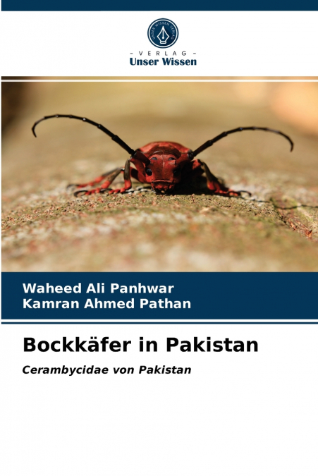 Bockkäfer in Pakistan