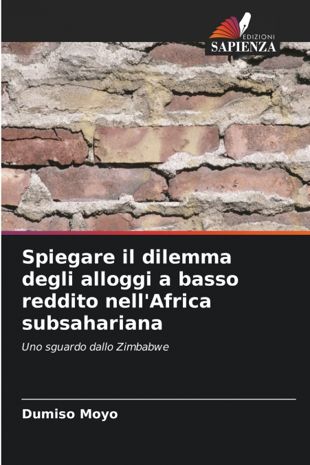 Spiegare il dilemma degli alloggi a basso reddito nell’Africa subsahariana
