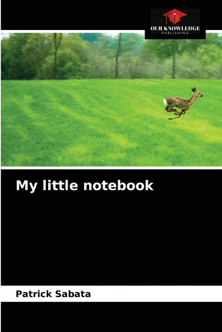 My little notebook