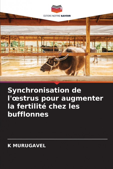 Synchronisation de l’œstrus pour augmenter la fertilité chez les bufflonnes