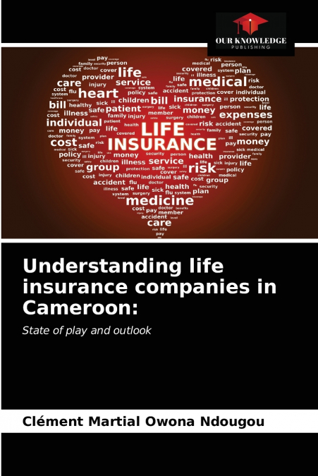 Understanding life insurance companies in Cameroon