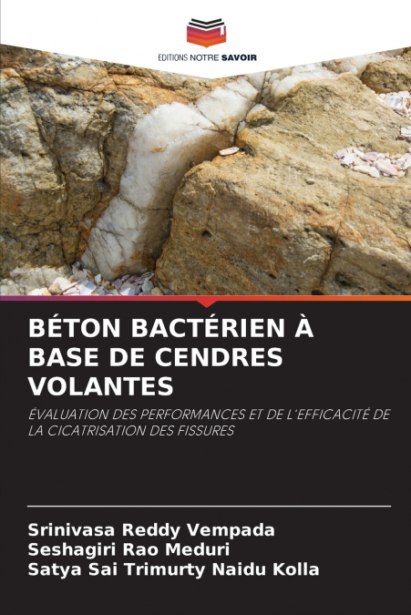 BÉTON BACTÉRIEN À BASE DE CENDRES VOLANTES