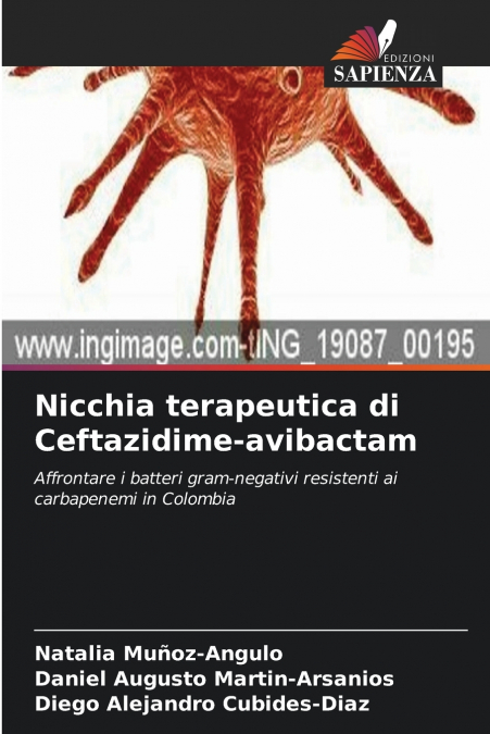 Nicchia terapeutica di Ceftazidime-avibactam