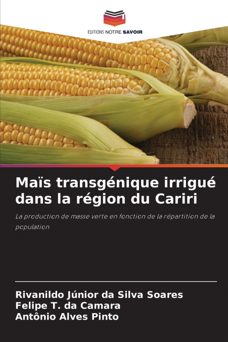 Maïs transgénique irrigué dans la région du Cariri