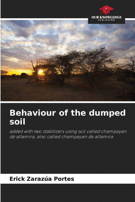 Behaviour of the dumped soil