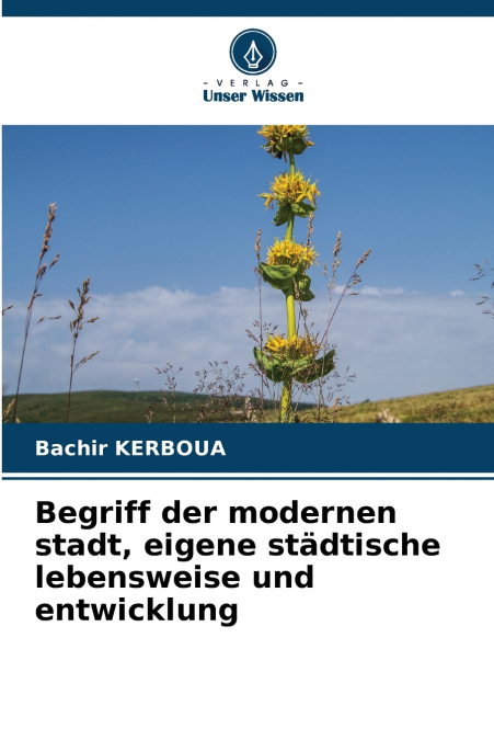 Begriff der modernen stadt, eigene städtische lebensweise und entwicklung