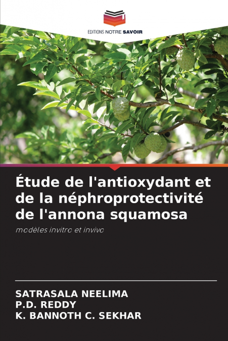 Étude de l’antioxydant et de la néphroprotectivité de l’annona squamosa