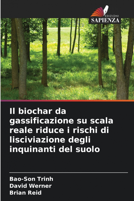 Il biochar da gassificazione su scala reale riduce i rischi di lisciviazione degli inquinanti del suolo