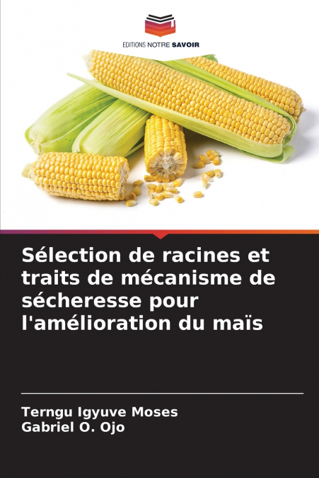 Sélection de racines et traits de mécanisme de sécheresse pour l’amélioration du maïs